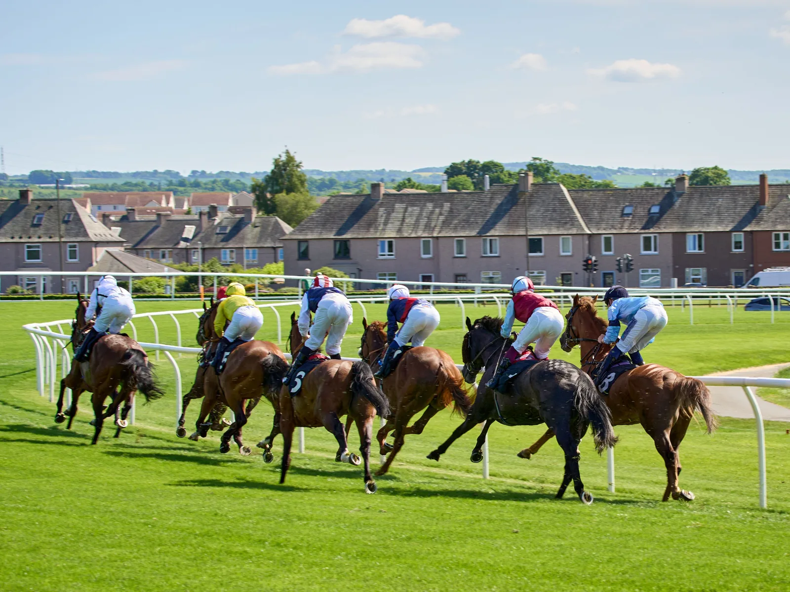 Peloton de chevaux et jockeys aux casaques colorées lancés au galop sur un hippodrome